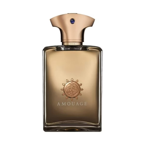 Amouage Dia für Männer Eau de Parfum 100 ml